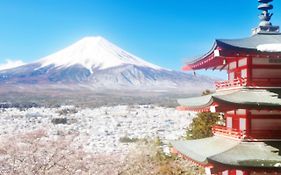 Erable Mt.Fuji Zen